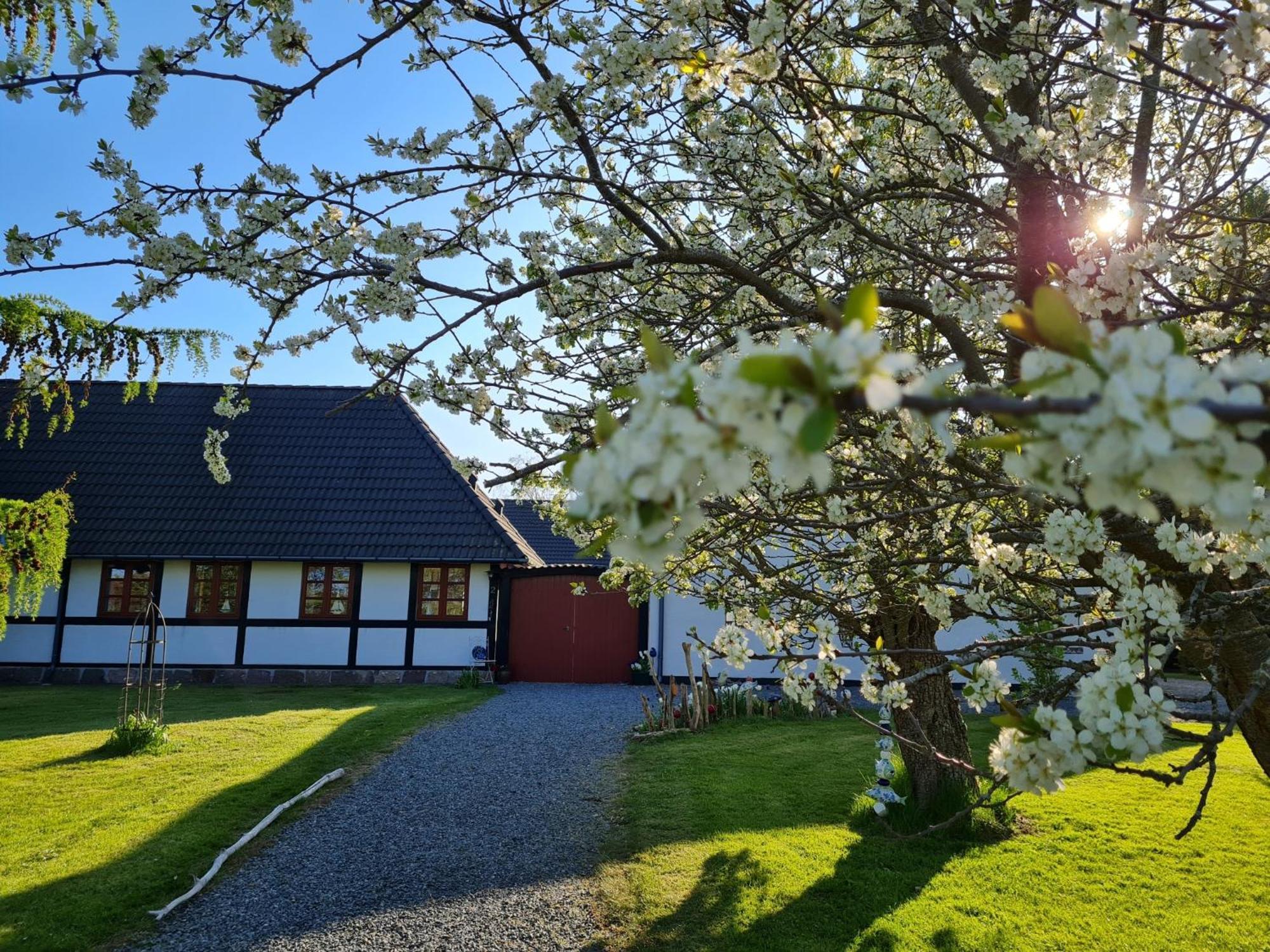 B&B Bauernhofferien Auf Mon Askeby Eksteriør billede
