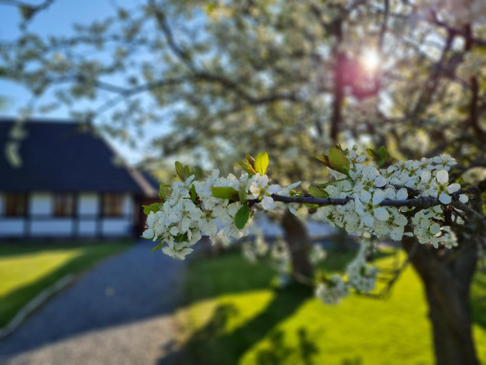 B&B Bauernhofferien Auf Mon Askeby Eksteriør billede
