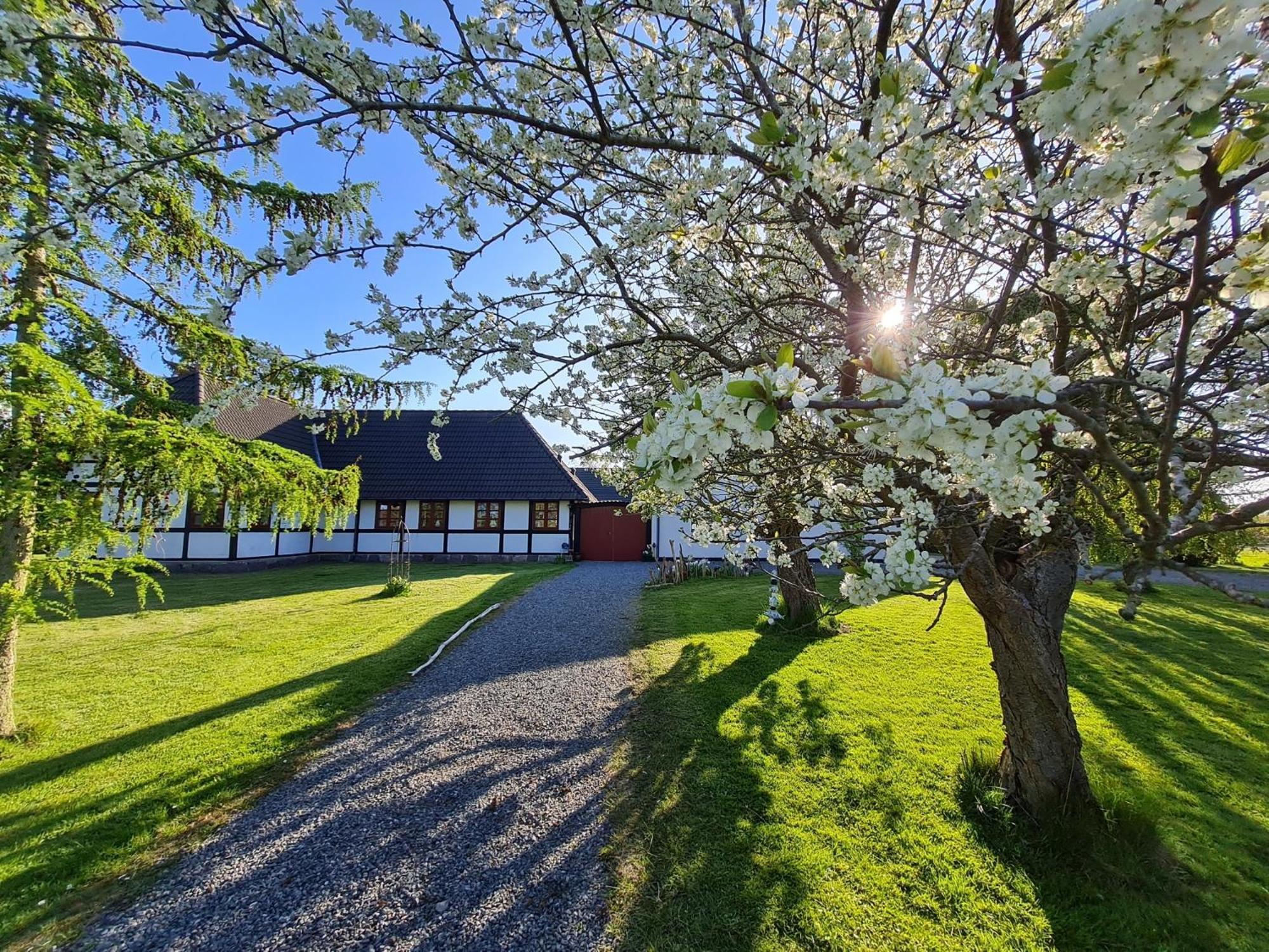 B&B Bauernhofferien Auf Mon Askeby Eksteriør billede